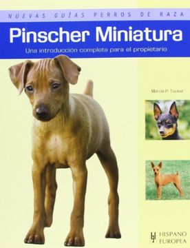 26782-PINSCHER MINIATURA