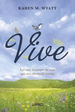 26167-VIVE