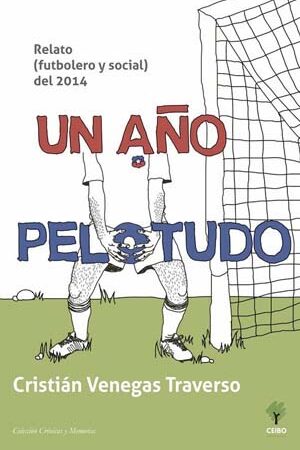 28693-UN AÑO PELOTUDO