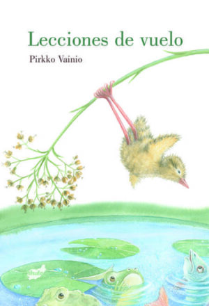 31006-LECCIONES DE VUELO