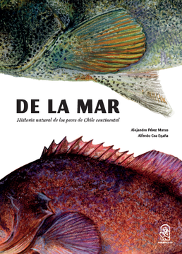 29515-DE LA MAR