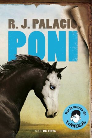 29849-PONI