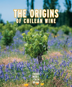 15051-ORIGINS OF CHILEAN WINE