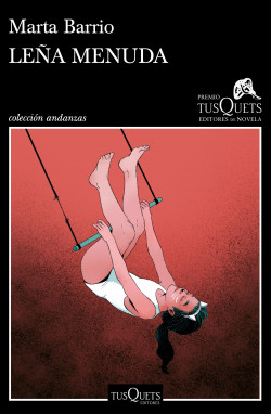 29205-LEÑA MENUDA