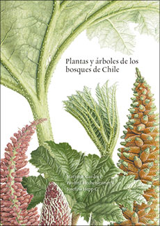 4253-PLANTAS Y ARBOLES DE LOS BOSQUES DE CHILE