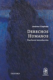 29521-DERECHOS HUMANOS: UNA BREVE INTRODUCCION