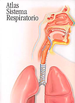 42998-ATLAS SISTEMA RESPIRATORIO