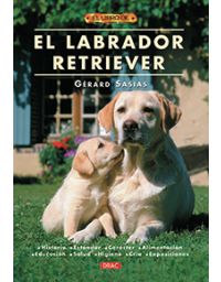 10055-LABRADOR RETRIEVER, EL