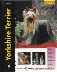 1810-YORKSHIRE TERRIER