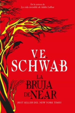42508-LA BRUJA DE NEAR