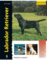 7027-LABRADOR RETRIEVER