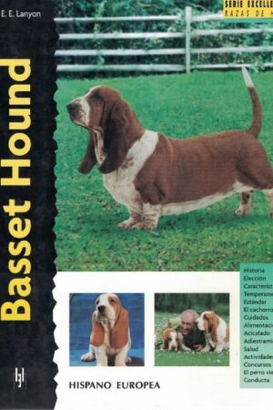 47242-BASSET HOUND
