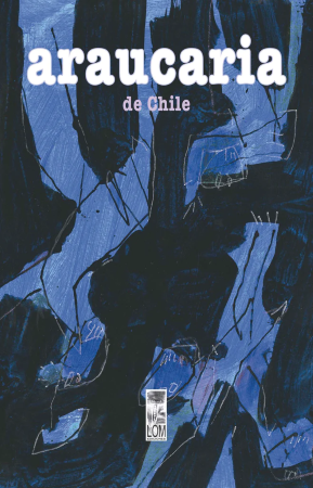 41055-ARAUCARIA DE CHILE