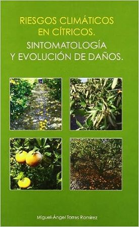 47810-RIESGOS CLIMATICOS EN CITRICOS SINTOMATOLOGIA Y EVOLUCION DE DAÑOS