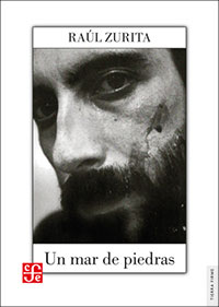 2481-UN MAR DE PIEDRAS