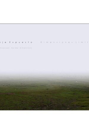 49616-PAISAJE EXPUESTO DIMENSIONES LIMITROFES