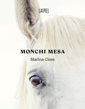49416-MONCHI MESA