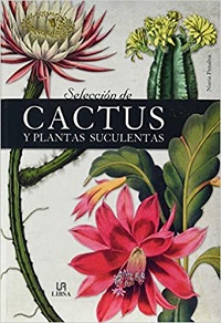 29279-CACTUS Y PLANTAS SUCULENTAS
