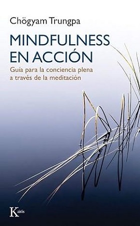 51996-MINDFULNESS EN ACCION