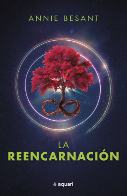52930-LA REENCARNACION