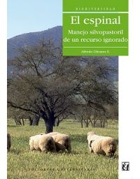 7988-EL ESPINAL