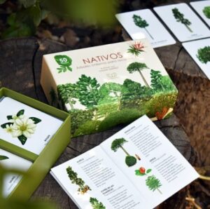 55968-NATIVOS : ARBOLES CHILENOS PARA RECORDAR