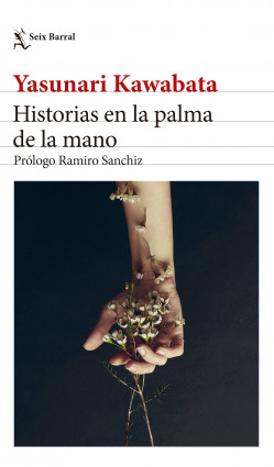55255-HISTORIAS EN LA PALMA DE LA MANO