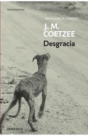 56410-DESGRACIA