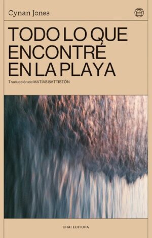 57643-TODO LO QUE ENCONTRE EN LA PLAYA