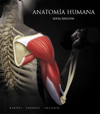 24135-ANATOMIA HUMANA (6 EDICION)