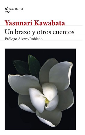 59161-UN BRAZO Y OTROS CUENTOS