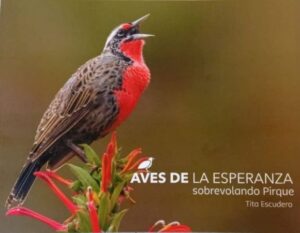 59676-AVES DE LA ESPERANZA