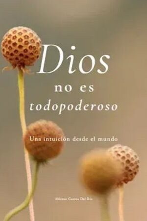 59879-DIOS NO ES TODOPODEROSO
