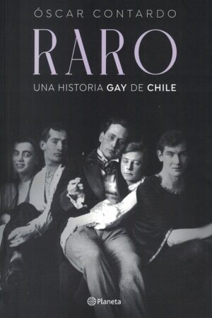 60871-RARO : UNA HISTORIA GAY DE CHILE