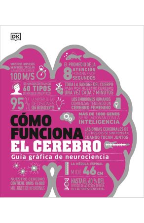 61133-COMO FUNCIONA EL CEREBRO
