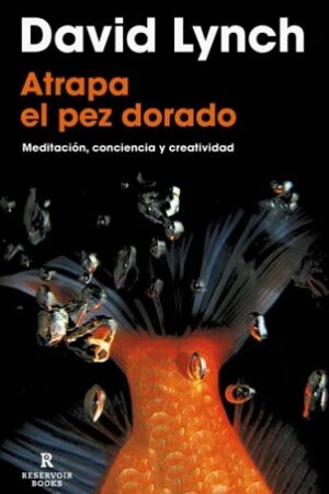 61393-ATRAPA EL PEZ DORADO