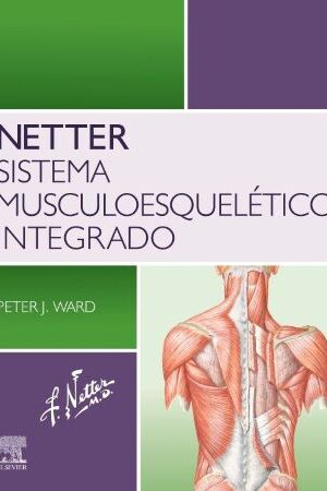 61488-NETTER SISTEMA MUSCULOESQUELETICO INTEGRADO